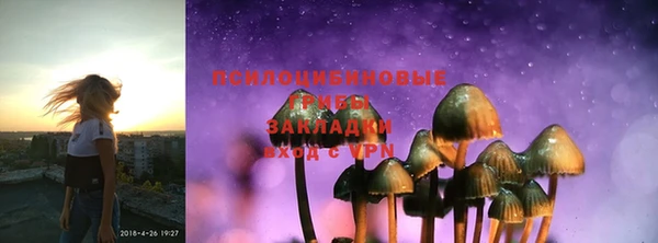 дмт Алзамай
