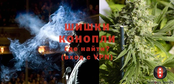 дмт Алзамай