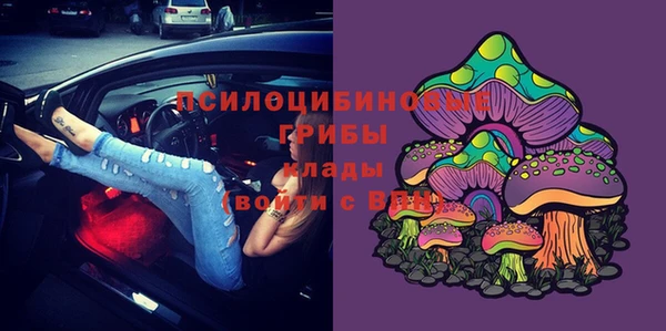 молекула духа Кинешма