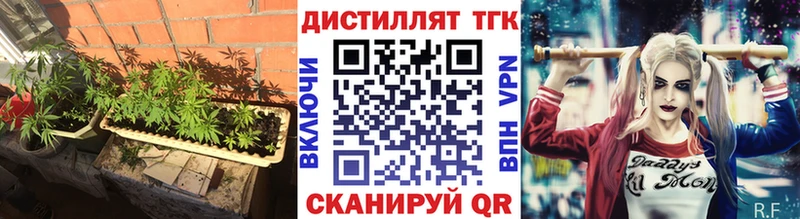 как найти наркотики Волхов Дистиллят ТГК гашишное масло