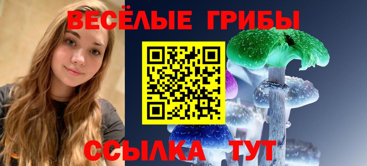 Волхов  Псилоцибиновые грибы мухоморы  Псилоцибиновые грибы мухоморы  Вход с VPN 